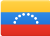 Venezuelan Flag